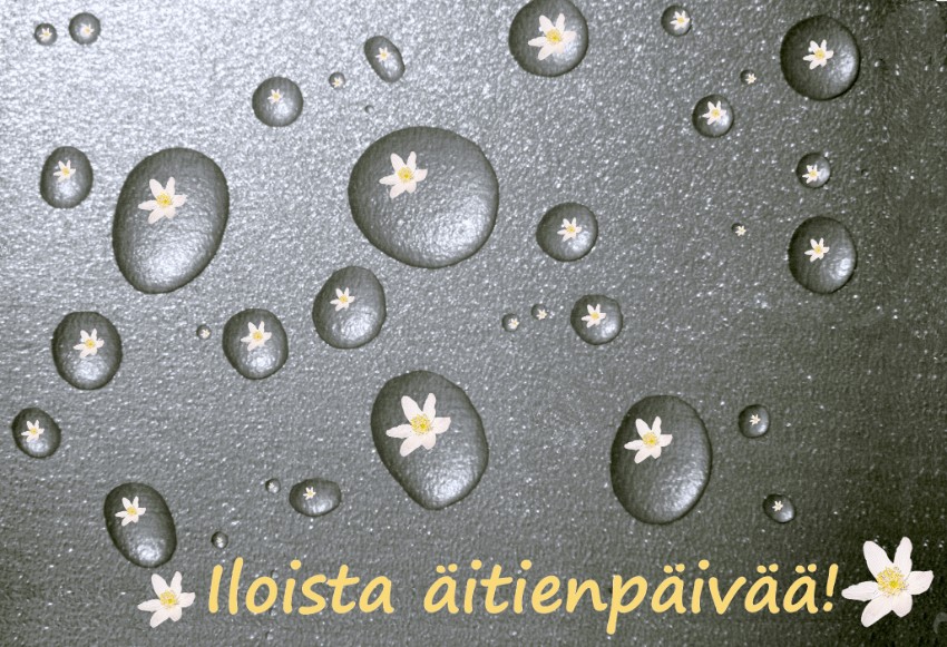 04 tiskipoyta.jpg